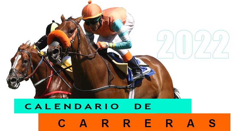 calendario 2019